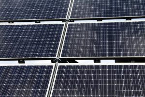 zonnepanelen subsidies voor bedrijven